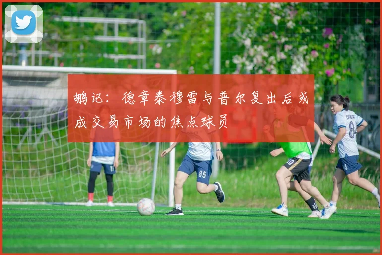 鹕记：德章泰穆雷与普尔复出后或成交易市场的焦点球员