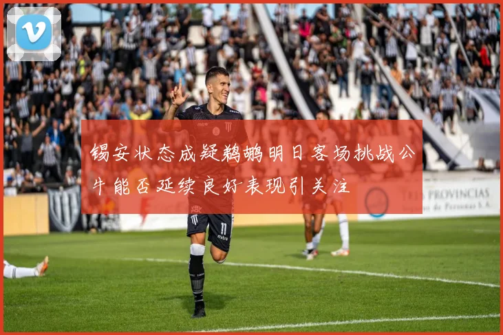 锡安状态成疑鹈鹕明日客场挑战公牛能否延续良好表现引关注