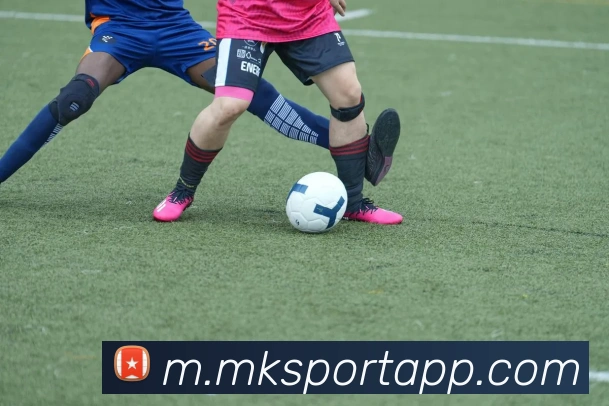 App Interface Preview