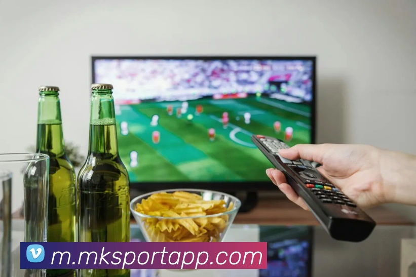 MK体育APP 封面图